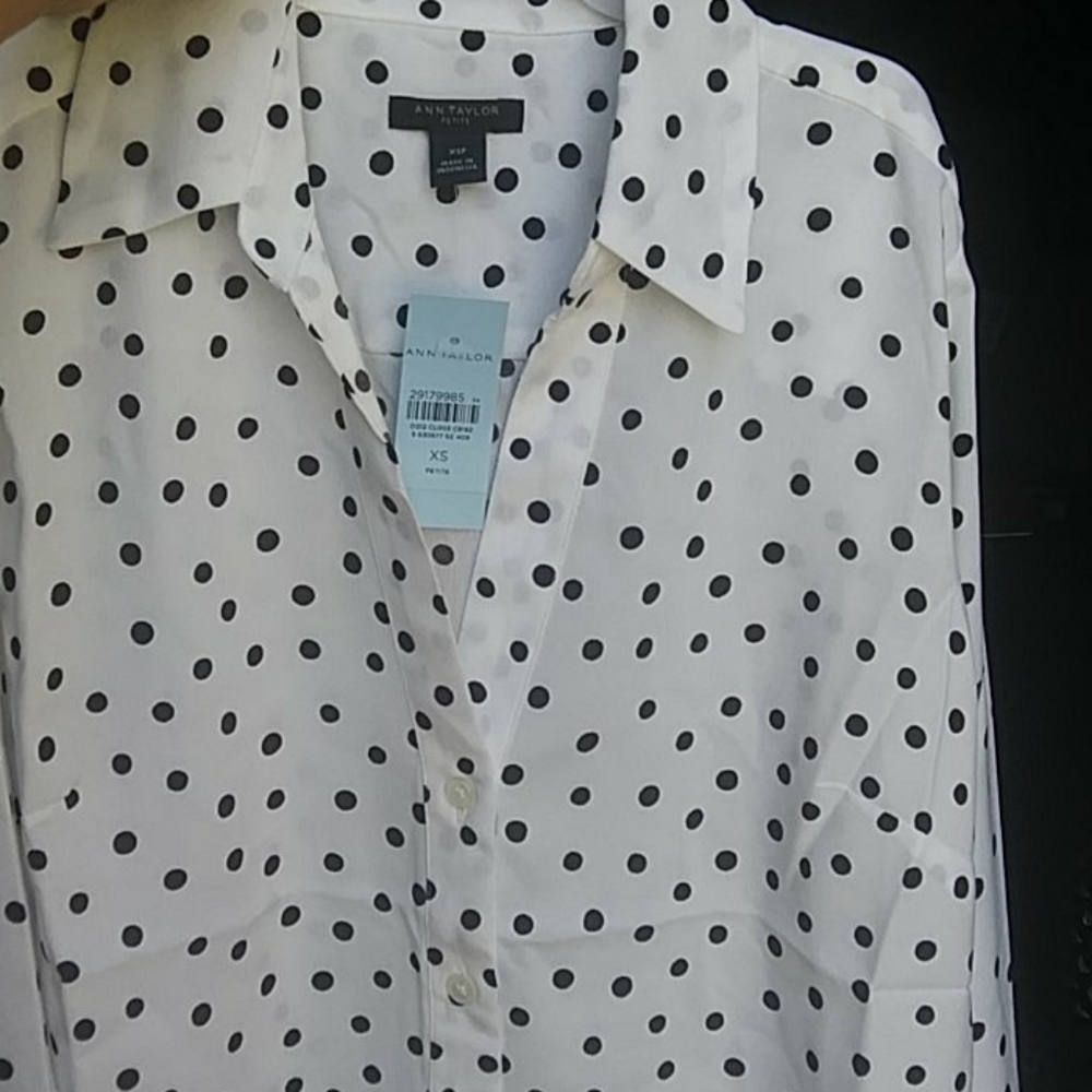 ANN TAYLOR PETITE ESSENTIAL BUTTON DOWN BLOUSE